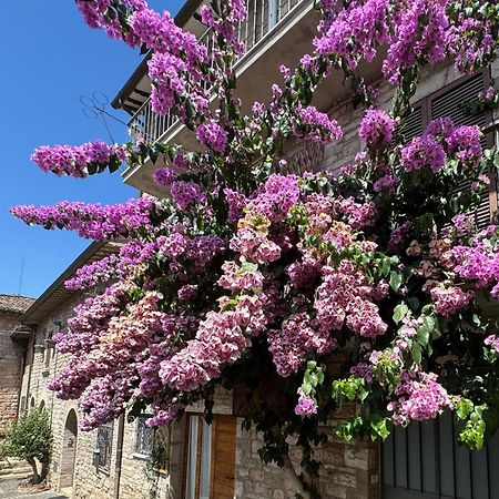 La Bouganville Assisi Exterior photo